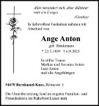 eine Anzeige